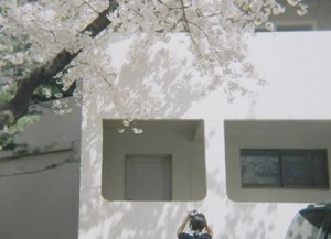 百家乐试玩平台
