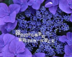 百家乐试玩平台