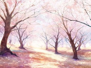 百家乐试玩平台