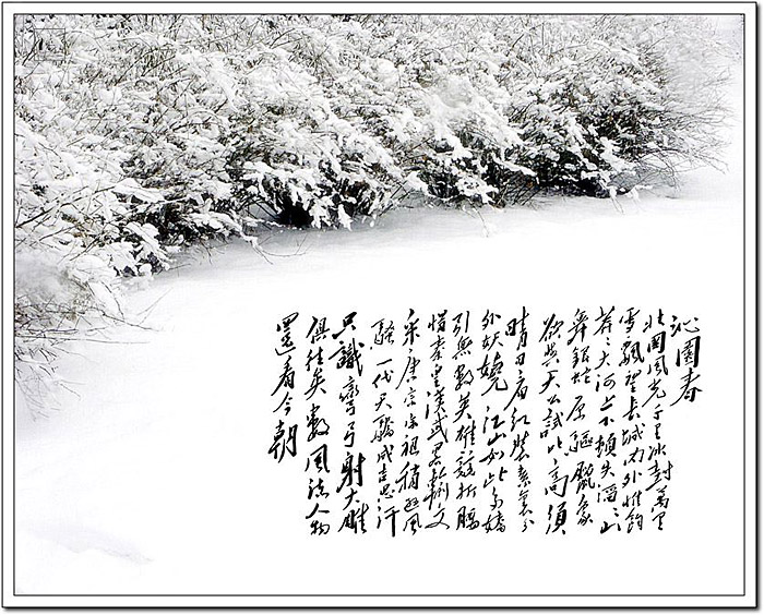 百家乐试玩平台