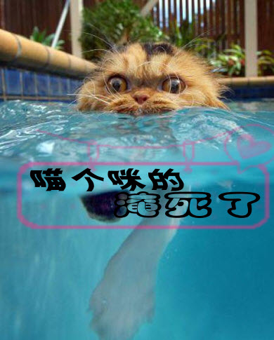 百家乐试玩平台
